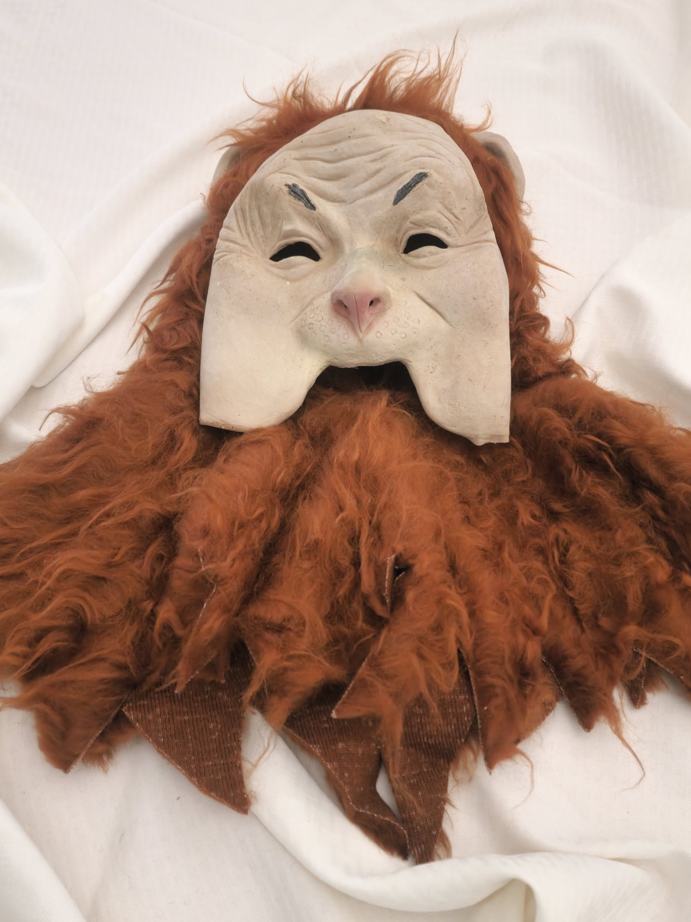 Wizard Of Oz Cowardly Lion